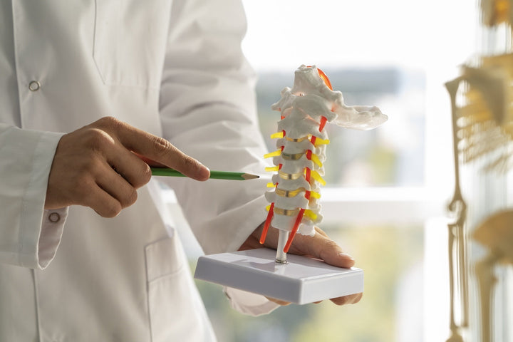 How to Naturally Build and Restore Bone Strength: The Best Nutrients and Lifestyle Tips