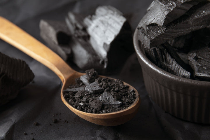 Shilajit: Nature’s Secret for Daily Energy and Vitality