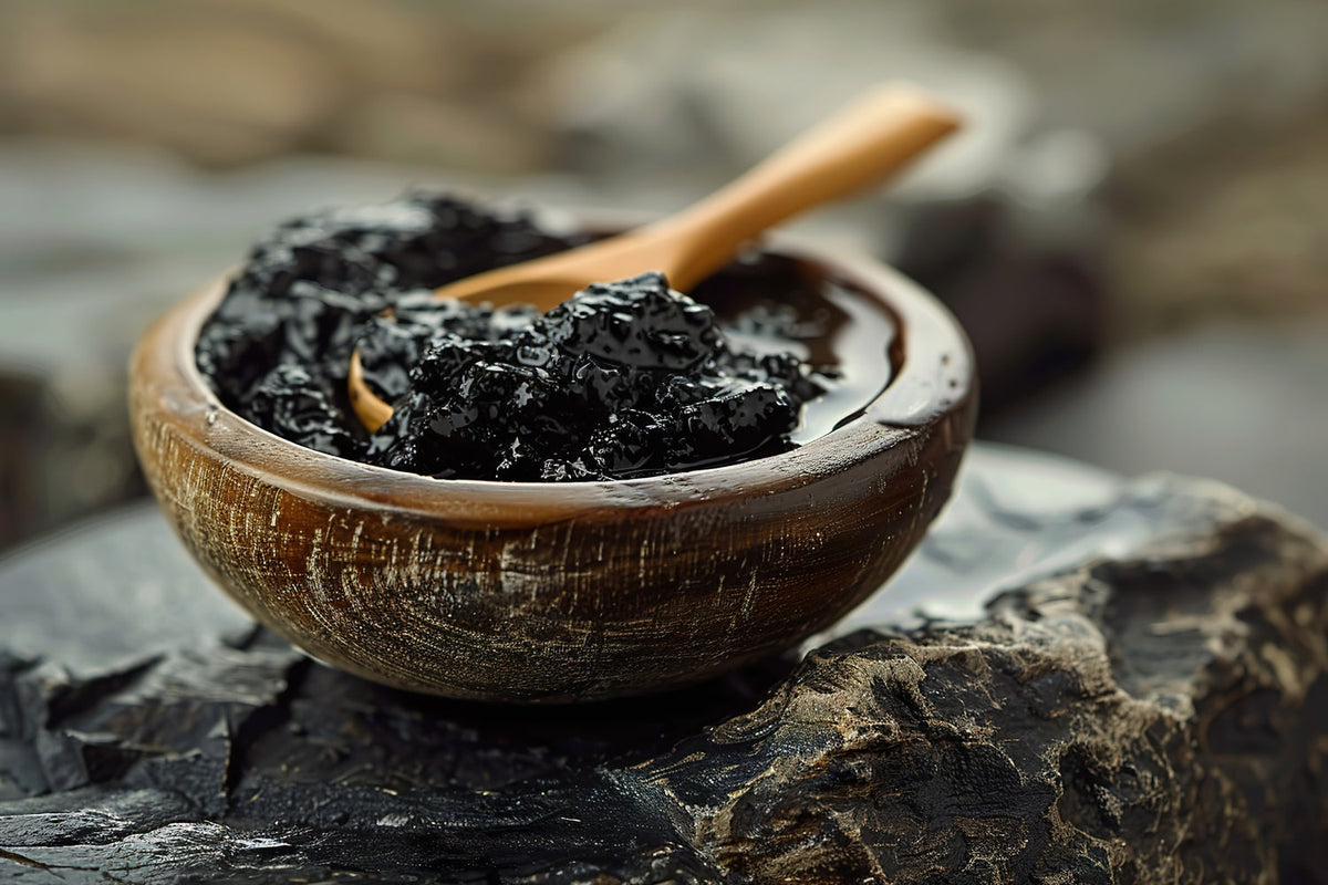 Why Shilajit Is a Key Ingredient in All-in-One Formulas for Energy, Focus, and Cellular Health