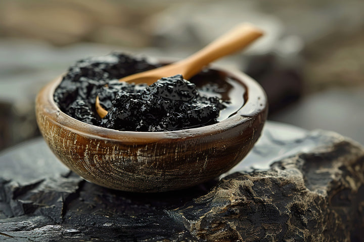 Why Shilajit Is a Key Ingredient in All-in-One Formulas for Energy, Focus, and Cellular Health