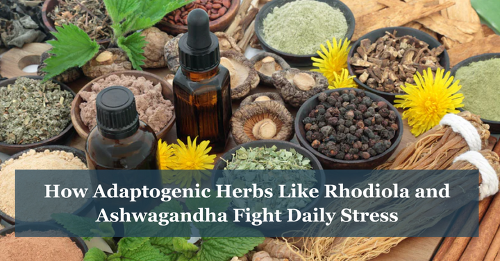 How Adaptogenic Herbs Like Rhodiola and Ashwagandha Fight Daily Stress