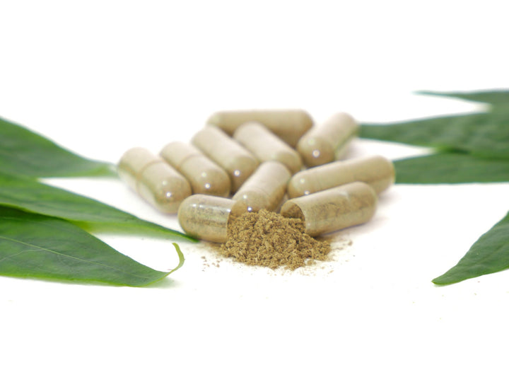 Can Taking Rhodiola Rosea Capsules Improve Mood, Mental Performance, and Endurance for Active Lifestyles?