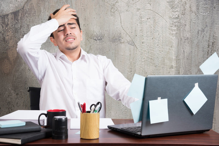 How Does Rhodiola Rosea Work to Support Brain Health, Reduce Daily Stress, and Enhance Overall Energy and Productivity?