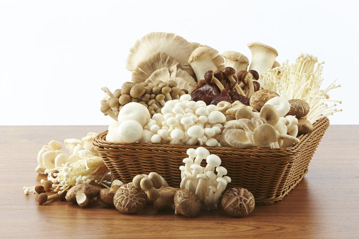 What Makes Mushrooms Different: Adaptation, Modulation, and Multi-System Support