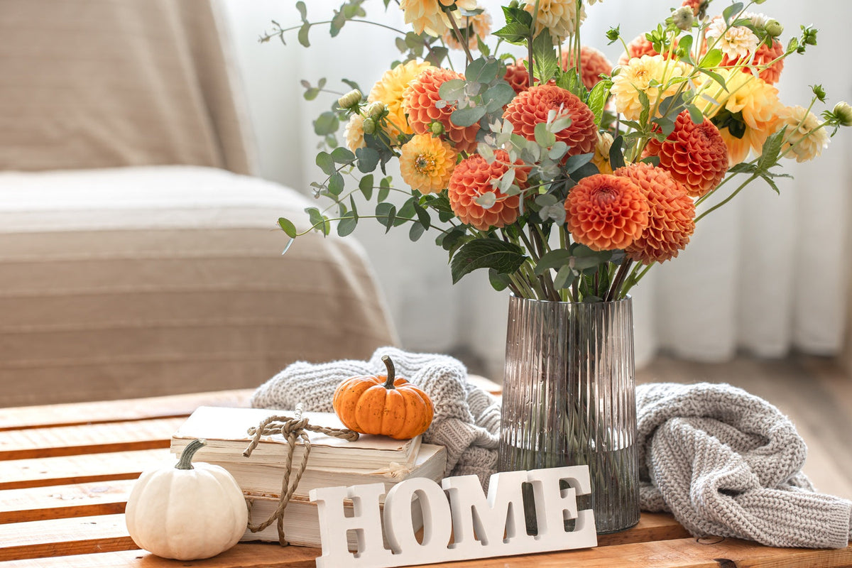 What Are the Best Ways to Combine Seasonal Home Styling with Daily Supplements to Support Energy, Balance, and Wellbeing?