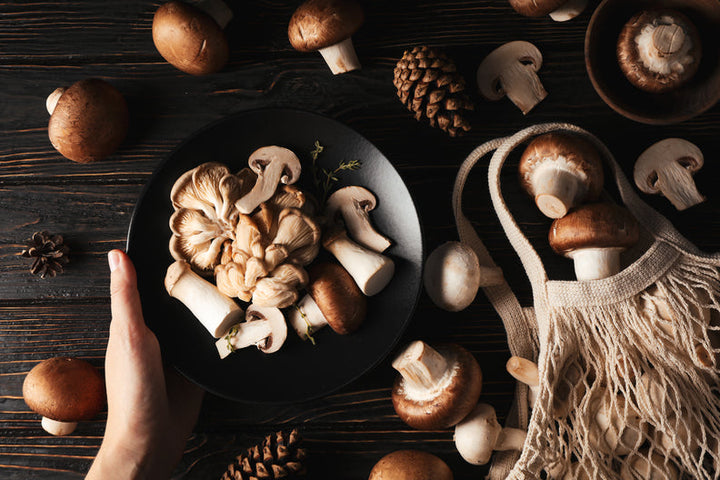 Mushroom Power: How Lion’s Mane and Cordyceps Support Athletic Recovery