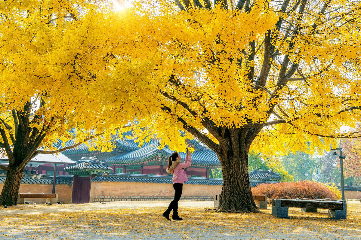 Transform Your Home Each Season: Tips for a Cozy, Stylish, and Energy-Friendly Space